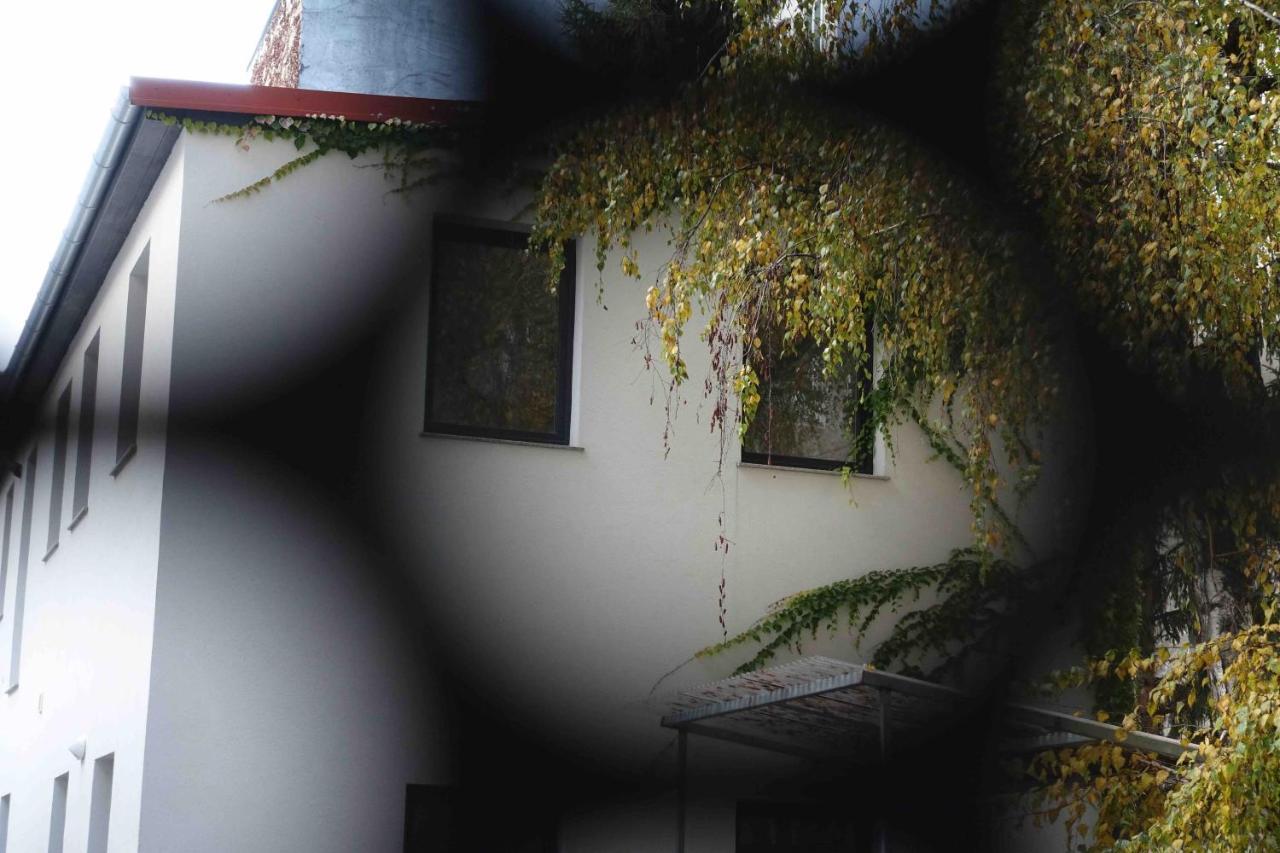 Studio U Parkplatz, Zentrale Ruhelage Neben Grunoase Apartamento Viena Exterior foto